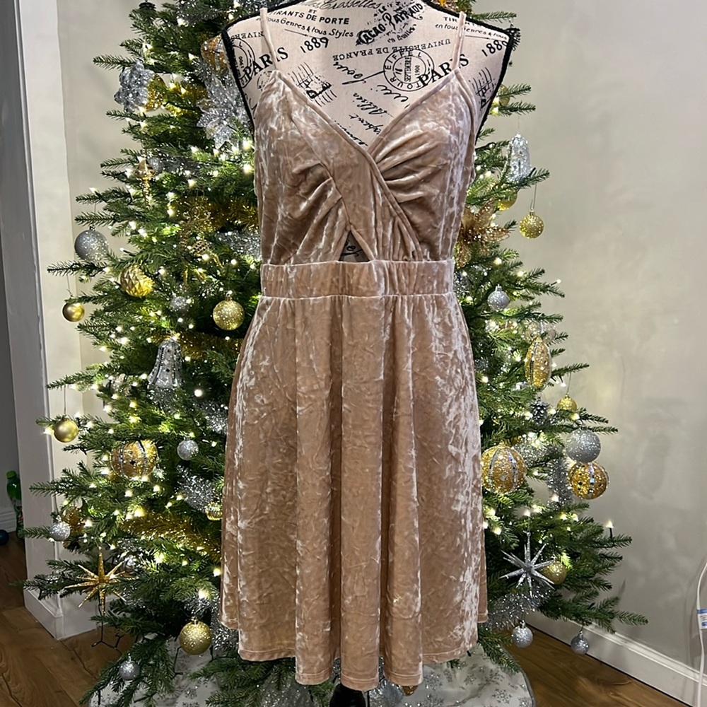 Velvet Holiday Mini Dress